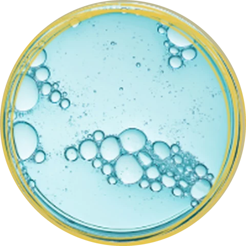 Genesis Factor under magnification
